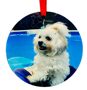 4" Aluminum Ornament